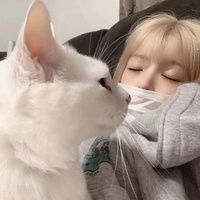 霓虹追光者